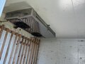 2012 ГАЗ ГАЗель (3302), белый, 1820000 рублей - вид 9