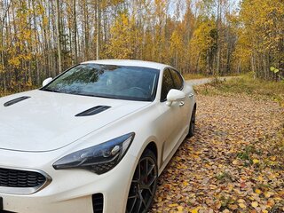2019 Kia Stinger I, белый, 3000000 рублей, вид 1
