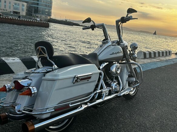 2008 Harley-Davidson Road King, белый, 1100000 рублей - вид 26