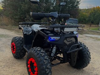 2025 Другие ATV (другие), чёрный, 149999 рублей, вид 2