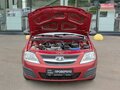 2017 Lada (ВАЗ) Largus I, красный - вид 8