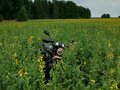 2022 Rockot ALPHA TOURIST M-11, чёрный, 45000 рублей - вид 4