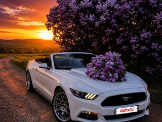 2016 Ford Mustang VI, белый, 2500000 рублей, вид 5