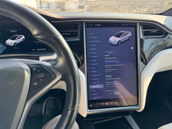 2019 Tesla Model X 100D I, белый, 3900000 рублей - вид 9