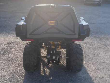 2024 Irbis ATV 125U, жёлтый, 115000 рублей, вид 5