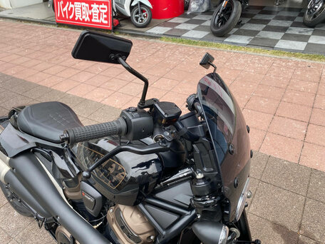 2022 Harley-Davidson Sportster S, чёрный, 1420000 рублей, вид 2
