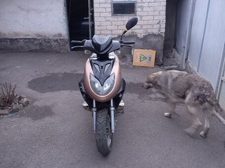 2010 Stels Skif, коричневый, 36000 рублей, вид 2