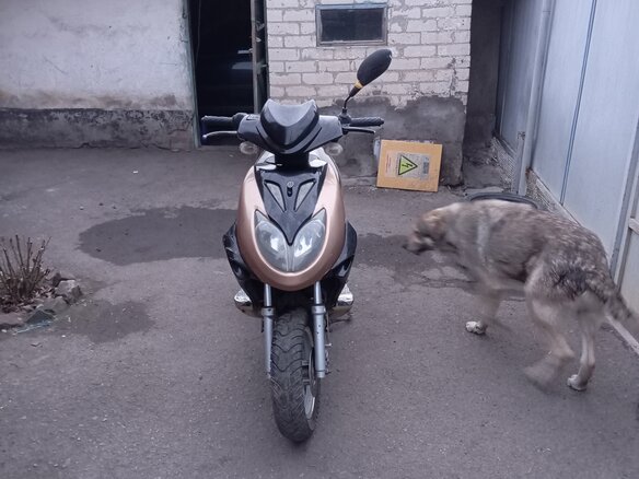 2010 Stels Skif, коричневый, 36000 рублей - вид 1