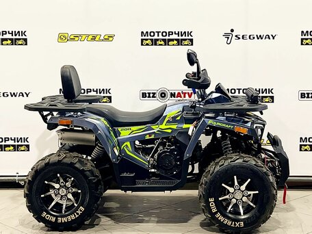 2026 Motoland Wild Track 200 X Pro, серый, 219000 рублей, вид 4