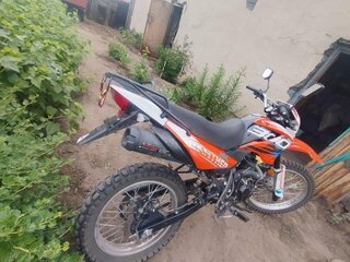 2024 Racer Panther, оранжевый, 140000 рублей, вид 2