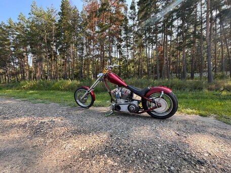 2004 Harley-Davidson Softail Custom, красный, 850000 рублей, вид 4
