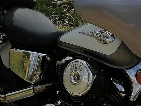 2001 Honda Shadow 750, серебристый, 600000 рублей, вид 2