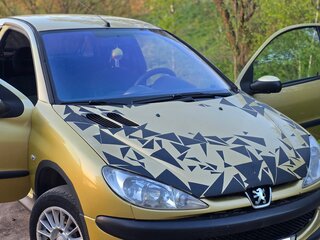 2003 Peugeot 206, жёлтый, 170000 рублей, вид 5