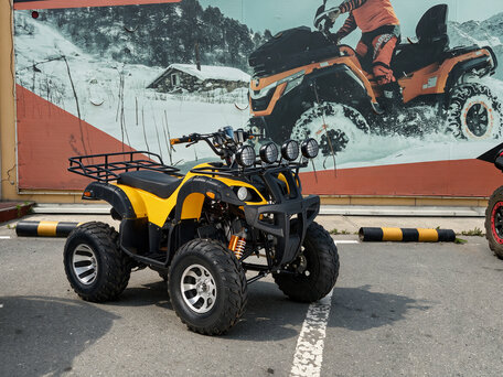 2026 Tiger Sport 250, чёрный, 237900 рублей, вид 3