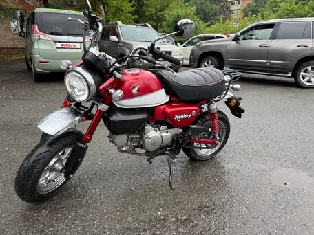2020 Honda Z125 Monkey, красный, 399000 рублей, вид 1