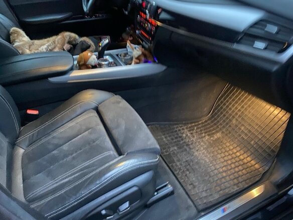 2016 BMW X5 30d III (F15), чёрный, 3420000 рублей - вид 20