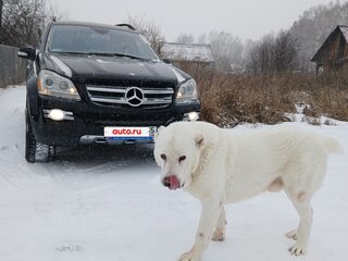 2007 Mercedes-Benz GL-Класс 450 I (X164), чёрный, 1500000 рублей, вид 3