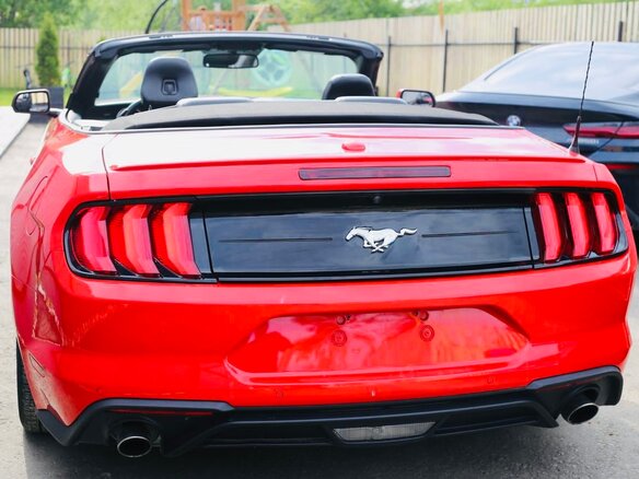 2019 Ford Mustang VI Рестайлинг, красный, 3200000 рублей - вид 3