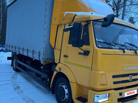 2024 КамАЗ 4308, жёлтый, 4950000 рублей, вид 3