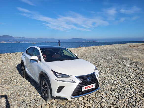 2020 Lexus NX 300h I Рестайлинг, белый, 3950000 рублей - вид 5