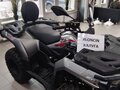 2026 Loncin XWolf 300 Max, серый, 485000 рублей - вид 7