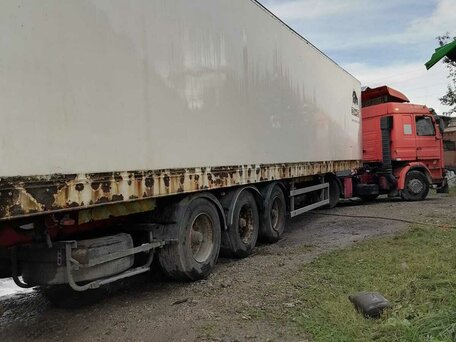 2001 SDC Trailers SDC, белый, 490000 рублей, вид 4