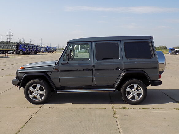 2011 Mercedes-Benz G-Класс 300 Professional I (W461) Professional, серый - вид 7