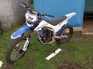2024 Motoland Enduro 250, синий, 100000 рублей, вид 2