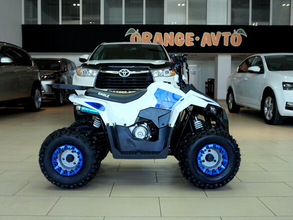 2021 Motoland ATV 110 Eagle, белый - вид 5