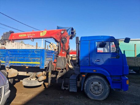 2018 КамАЗ 65117, синий, 7500000 рублей, вид 4