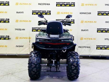 2025 Bison ATV 250F, зелёный, 179000 рублей, вид 4