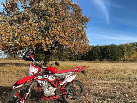 2024 Wels MX250R, красный, 100000 рублей, вид 4
