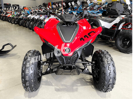 2025 CFMoto CFORCE 110, красный, 299900 рублей, вид 4