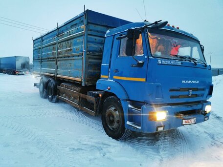 2017 КамАЗ 65117, синий, 1700000 рублей, вид 2