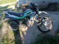 2019 Racer Panther, зелёный, 70000 рублей - вид 1