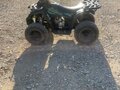 2023 ABM MSX 125, зелёный, 90000 рублей - вид 2