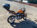 2006 Honda CB 600F Hornet, золотистый, 410000 рублей - вид 1