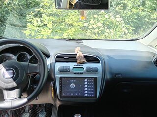 2008 SEAT Toledo III, серебристый, 550000 рублей, вид 2