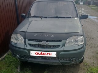 2010 Chevrolet Niva I Рестайлинг, зелёный, 550000 рублей, вид 1