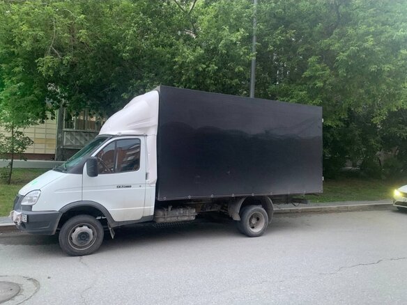 2008 ГАЗ ГАЗель (3302), белый, 550000 рублей - вид 2