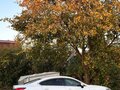2013 Mazda 6 III (GJ), белый, 1800000 рублей - вид 3