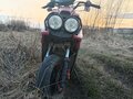 2019 Venta FK50QT-1, красный, 48000 рублей