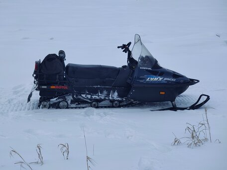 2005 BRP Lynx 6900, синий, 600000 рублей, вид 2