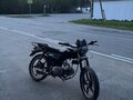 2019 Racer Alpha, чёрный, 75000 рублей - вид 1
