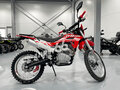 2025 JHL SX150, красный, 119990 рублей - вид 3