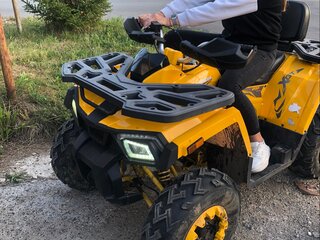 2022 Motoland Wild Track 200, жёлтый, 190000 рублей, вид 4