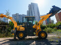 2024 LTMG BL1000, золотистый, 5876000 рублей - вид 5