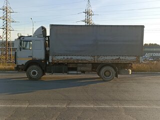 2003 МАЗ 4370, серый, 550000 рублей, вид 2