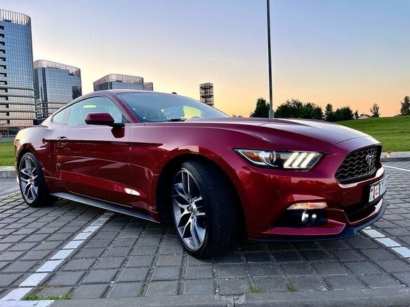 2016 Ford Mustang VI, красный - вид 16