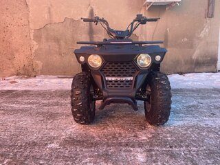 2024 Linhai ATV200, чёрный, 207000 рублей, вид 1